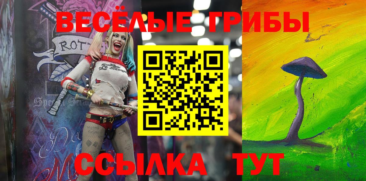 Торжок  Галлюциногенные грибы ЛСД  Вход с VPN 