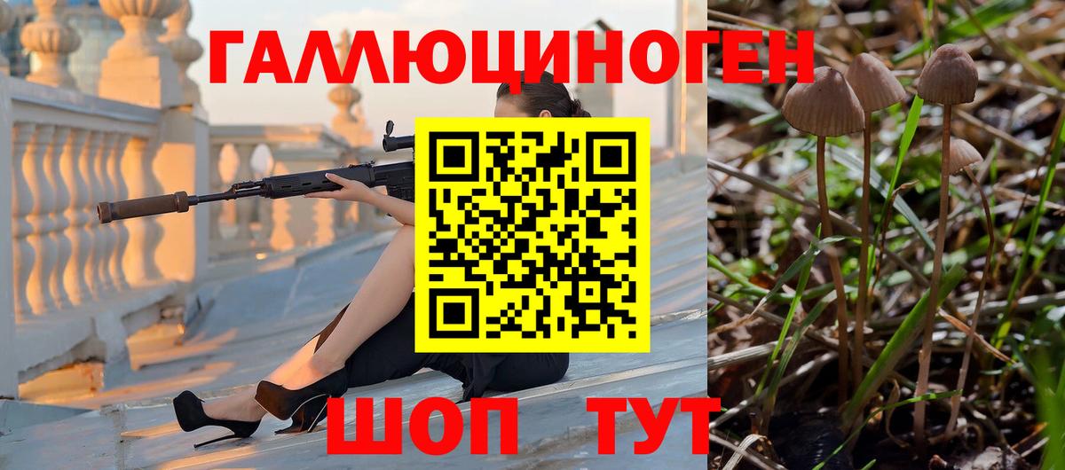 Псилоцибиновые грибы прущие грибы Торжок